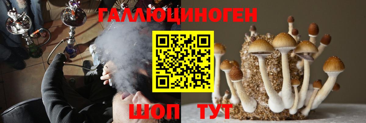 Галлюциногенные грибы MAGIC MUSHROOMS  Вход с VPN  Черногорск  Галлюциногенные грибы ЛСД 